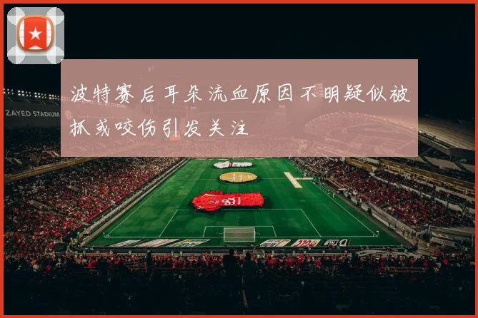 波特赛后耳朵流血原因不明疑似被抓或咬伤引发关注