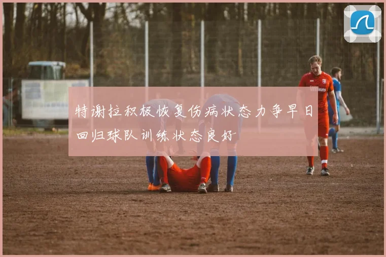 特谢拉积极恢复伤病状态力争早日回归球队训练状态良好