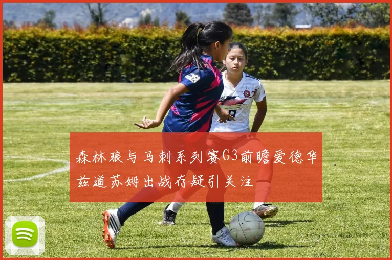 森林狼与马刺系列赛G3前瞻爱德华兹道苏姆出战存疑引关注